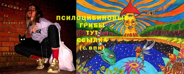 винт Инсар