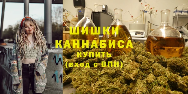 ПСИЛОЦИБИНОВЫЕ ГРИБЫ Каменка